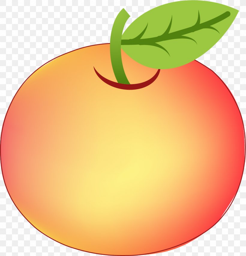 Grapefruit Little Apple Clip Art, PNG, 1001x1041px, Grapefruit, Apple, Citrus, Drawing, Flowering Plant Download Free