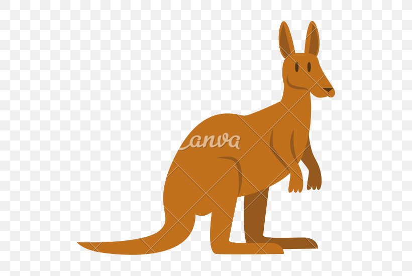 Kangaroo Red Fox Macropodidae Cartoon, PNG, 550x550px, Kangaroo, Carnivoran, Cartoon, Dog Like Mammal, Drawing Download Free