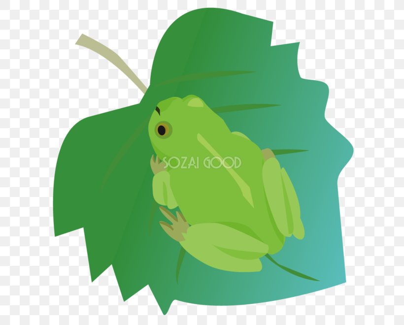 Tree Frog Green, PNG, 660x660px, Tree Frog, Amphibian, Frog, Grass, Green Download Free