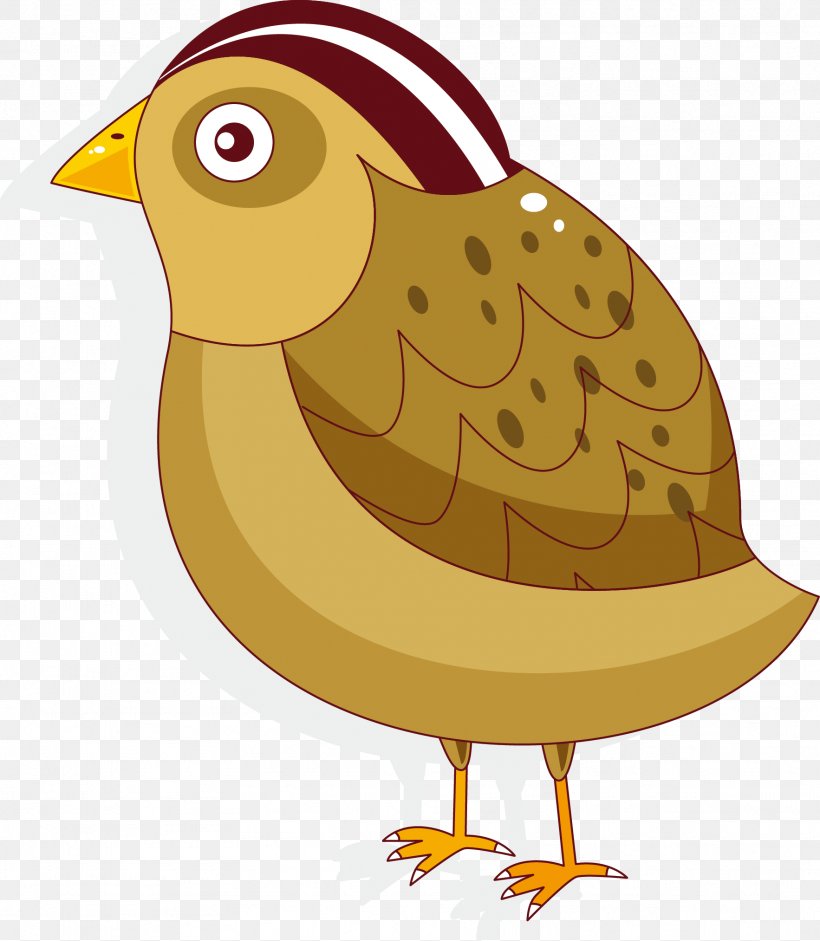 Bird Rooster Clip Art, PNG, 1766x2027px, Bird, Beak, Cartoon, Chicken, Fauna Download Free