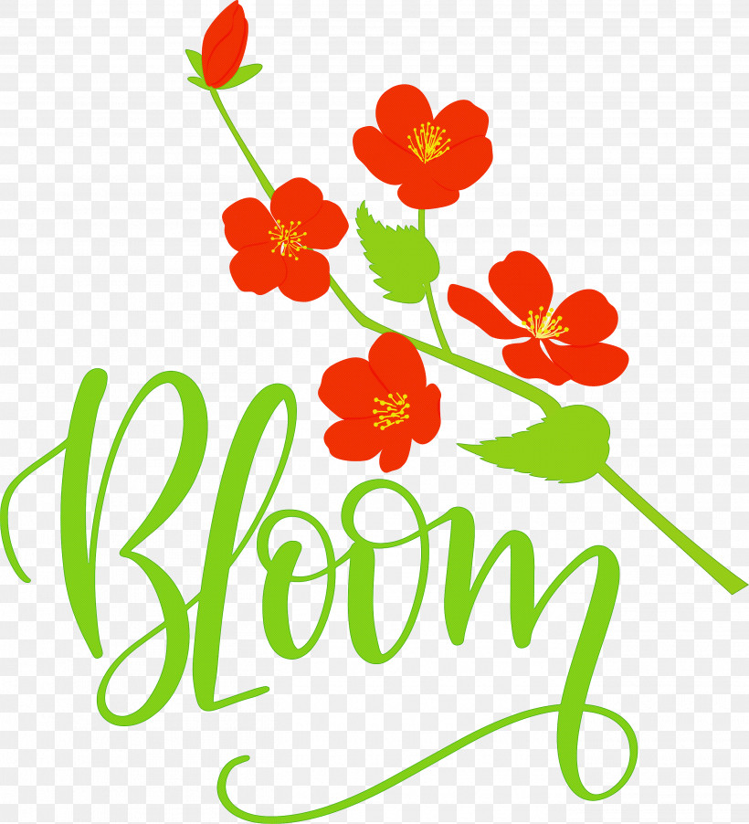 Bloom Spring, PNG, 2725x3000px, Bloom, Cut Flowers, Floral Design, Flower, Leaf Download Free