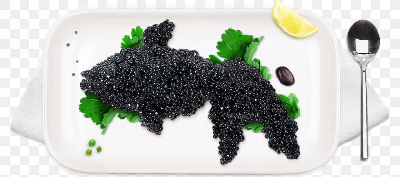 Caviar Superfood, PNG, 900x400px, Caviar, Food, Superfood Download Free