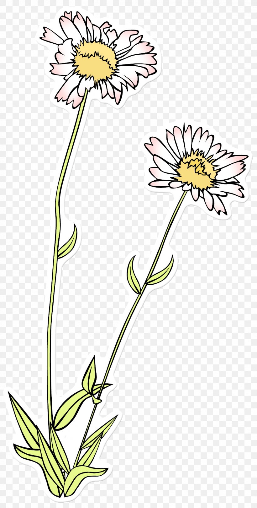 Clip Art Sketch Flower Drawing Image, PNG, 1039x2050px, Flower, Art, Chrysanths, Coloring Book, Cut Flowers Download Free