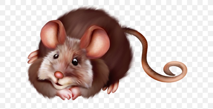 Computer Mouse Rat Clip Art, PNG, 699x423px, Computer Mouse, Animal, Blog, Child, Collage Download Free