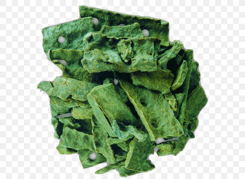 Spring Greens Collard Greens Spinach Kale Rapini, PNG, 600x600px, Spring Greens, Apiary, Bee, Collard Greens, Kale Download Free