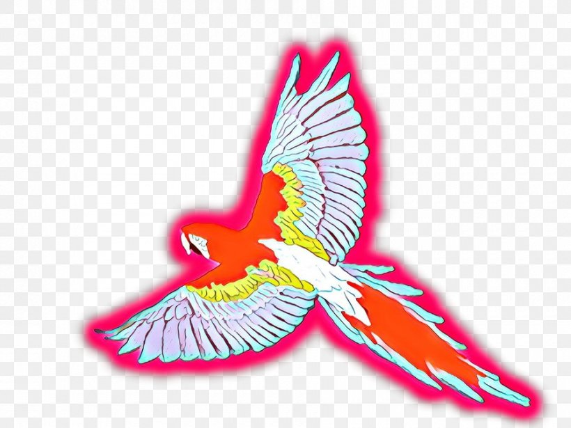Bird Wing, PNG, 900x675px, Macaw, Beak, Bird, Feather, Hummingbird Download Free