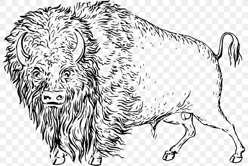 Cattle Drawing Clip Art, PNG, 800x549px, Cattle, American Bison, Animal Figure, Artwork, Black And White Download Free