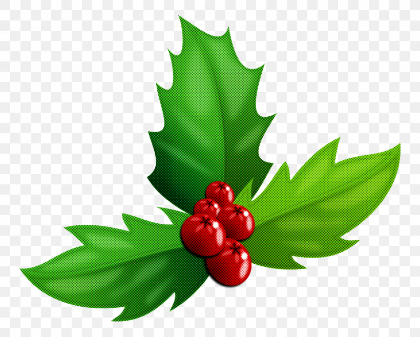 Christmas Day, PNG, 1600x1284px, Leaf, Aquifoliales, Berry, Bilberry, Christmas Day Download Free