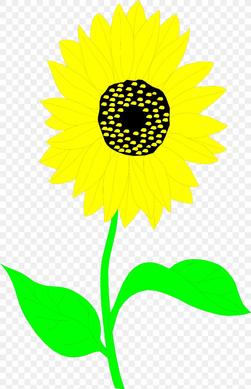 Common Sunflower Drawing Clip Art, PNG, 958x1488px, Common Sunflower, Art, Artwork, Black And White, Cut Flowers Download Free