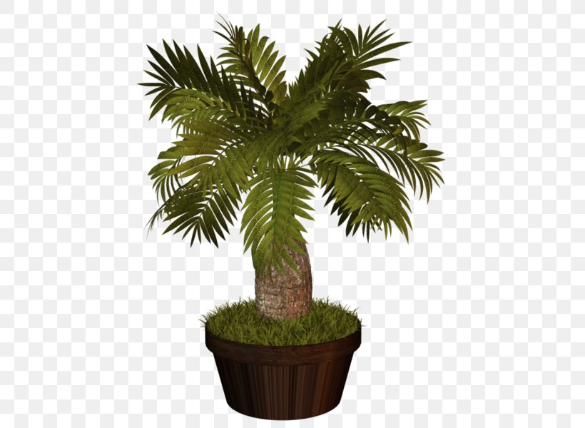 Flowerpot Asian Palmyra Palm Clip Art Plants Houseplant, PNG, 460x600px, Flowerpot, Arecales, Asian Palmyra Palm, Bonsai, Borassus Flabellifer Download Free