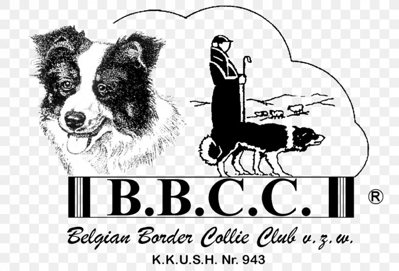Puppy Dog Breed Belgian Border Collie Club Scotch Collie, PNG, 1439x979px, Puppy, Advertising, Birthday, Black And White, Border Collie Download Free