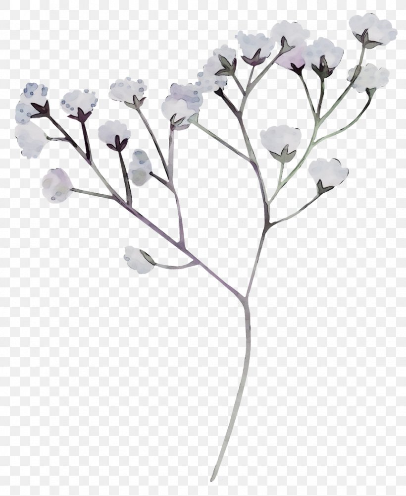 Twig Cut Flowers Floral Design Rose Family /m/02csf, PNG, 1146x1400px, Twig, Body Jewellery, Botany, Branch, Cut Flowers Download Free