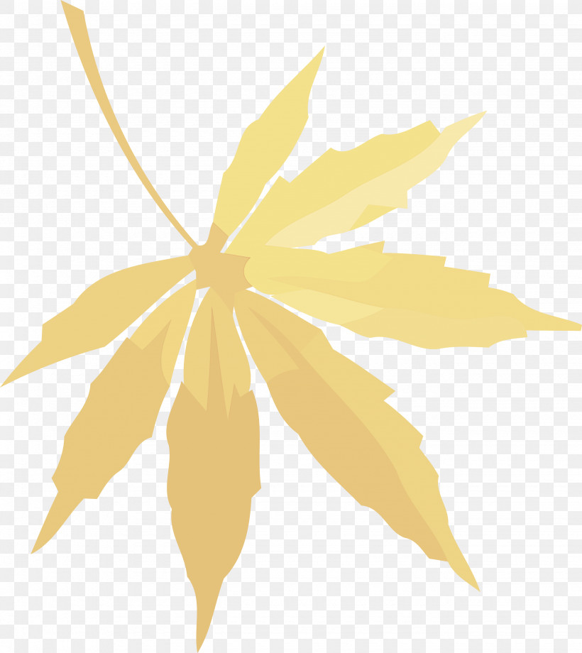 Autumn Leaf Fall Leaf Yellow Leaf, PNG, 2660x2985px, Autumn Leaf, Fall Leaf, Leaf, Plane, Plant Download Free