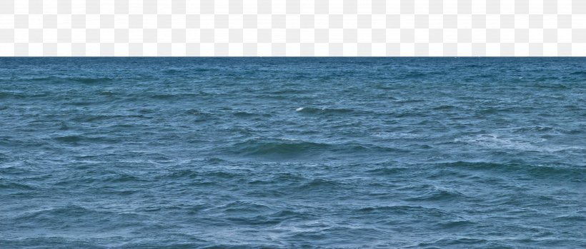 Cetacea Porpoise Sea Inlet Water Resources, PNG, 3072x1311px, Shore, Animal, Cetacea, Channel, Horizon Download Free