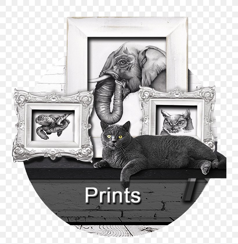 Graphic Designer Artist Work Of Art Printing, PNG, 741x842px, Graphic Designer, Art, Artist, Black And White, Cat Download Free