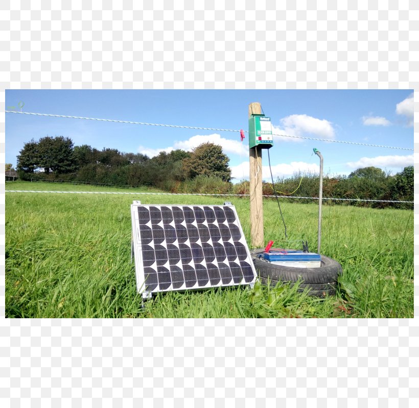 Energy Electric Fence Solar Power Solar Panels, PNG, 800x800px, Energy, Battery Charge Controllers, Electric Fence, Electricity, Fence Download Free