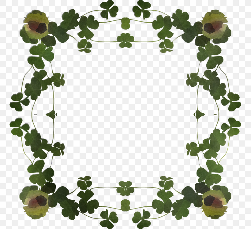 Ivy, PNG, 757x750px, Leaf, Flower, Ivy, Plant, Vitis Download Free