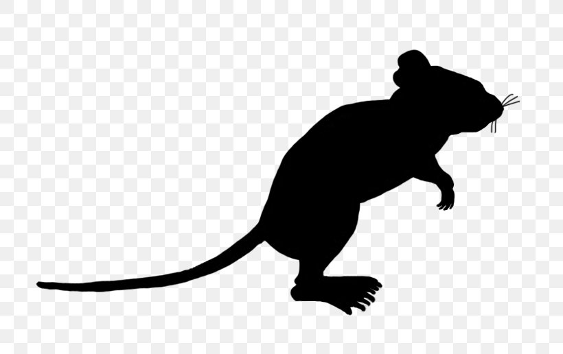 Rat Computer Mouse Silhouette Clip Art, PNG, 740x516px, Rat, Bear, Black And White, Carnivoran, Cat Download Free