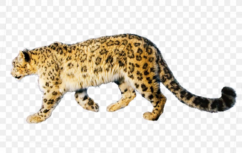 Snow Leopard Jaguar Cheetah, PNG, 1893x1200px, Leopard, Animal Figure, Big Cats, Carnivoran, Cat Like Mammal Download Free