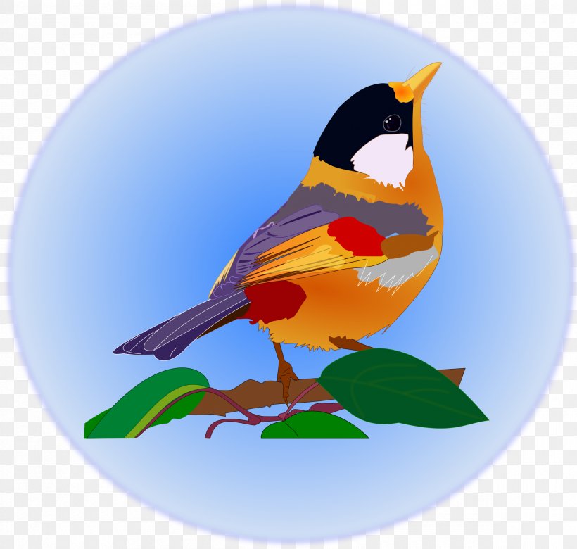Bird Animal Clip Art, PNG, 2400x2283px, Bird, Animal, Beak, Drawing, European Robin Download Free