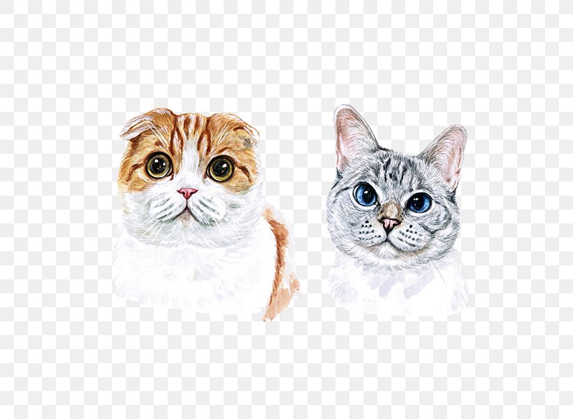 Cat Watercolour Flowers Watercolor Painting, PNG, 600x600px, Cat, American Shorthair, American Wirehair, Asian, Carnivoran Download Free