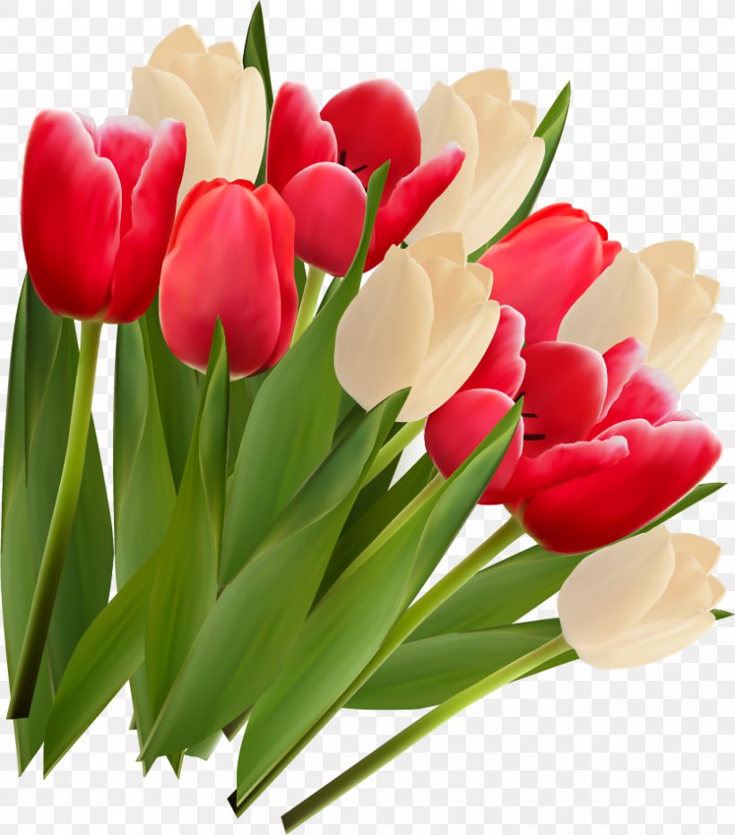 Tulip Flower Clip Art, PNG, 832x946px, Tulip, Cdr, Cut Flowers, Floral Design, Floristry Download Free