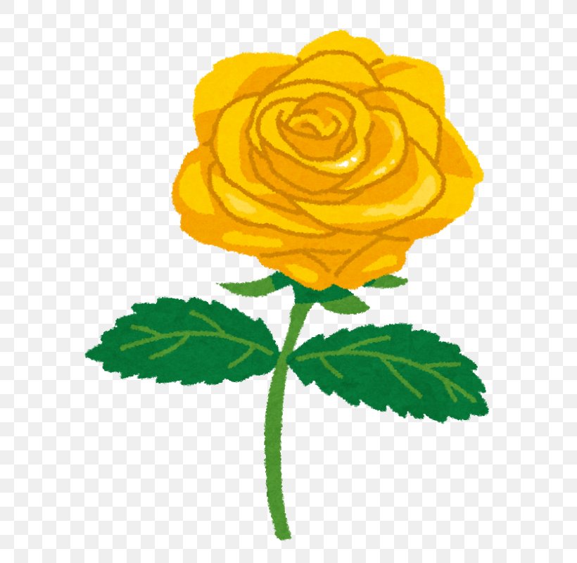 Blue Rose Color 真夜中ごはん, PNG, 710x800px, Rose, Blue Rose, Color, Cut Flowers, Flower Download Free