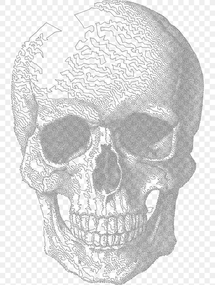 Human Skull Drawing, PNG, 735x1086px, Skull, Black And White, Bone, Calavera, Drawing Download Free