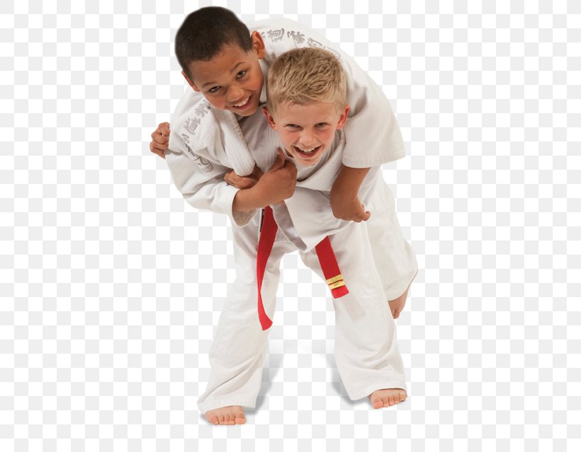 Jujutsu Brazilian Jiu-jitsu Judo Aikido Martial Arts, PNG, 756x639px, Watercolor, Cartoon, Flower, Frame, Heart Download Free