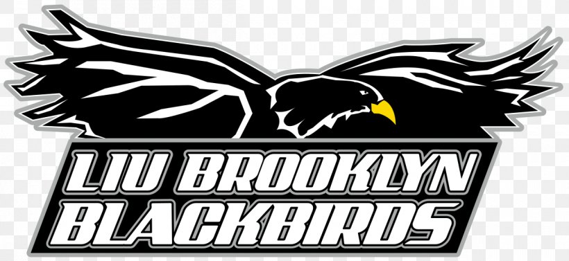 LIU Brooklyn Blackbirds Women's Basketball Long Island University LIU Brooklyn Blackbirds Men's Basketball St. Francis College, PNG, 1200x553px, Liu Brooklyn, Brand, Brooklyn, College, Downtown Brooklyn Download Free