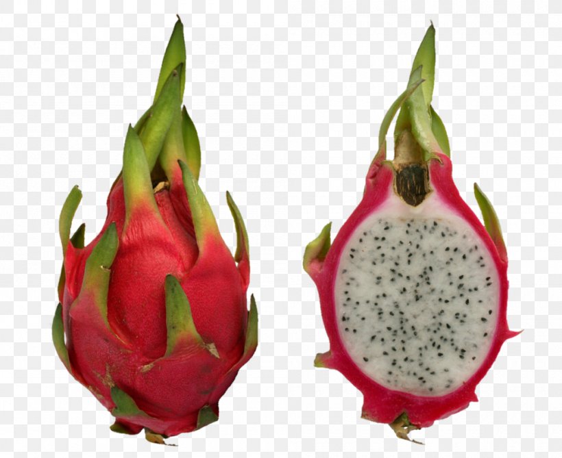 Pitaya Hylocereus Undatus Fruit Horned Melon Carambola, PNG, 1000x817px, Pitaya, Bud, Cactaceae, Carambola, Dragonfruit Download Free