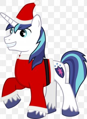 Christmas Picher - Twilight Sparkle Princess Cadance Applejack Princess Celestia Shining Armor PNG