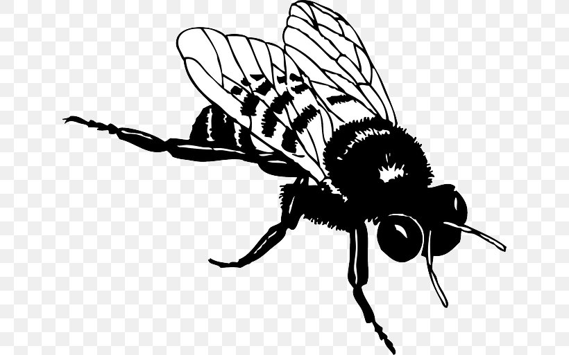 Bee Blog Clip Art, PNG, 640x513px, Bee, Arthropod, Artwork, Black And White, Blog Download Free