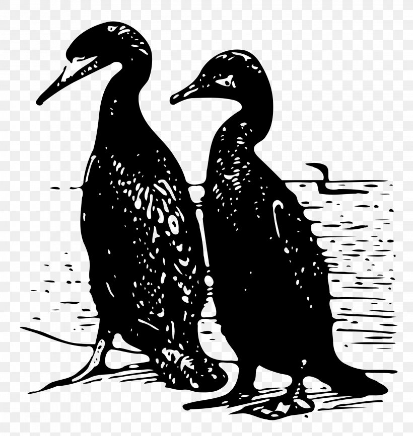 Duck Mallard Clip Art, PNG, 2268x2400px, Duck, Beak, Bird, Black And White, Drawing Download Free