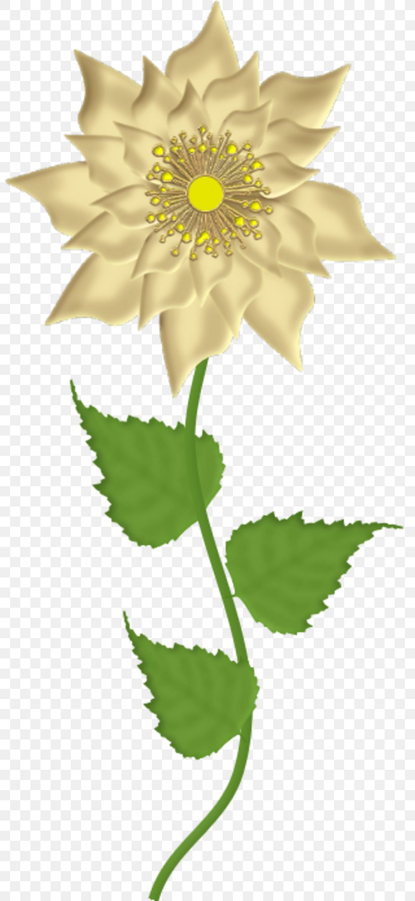 Flower Blume, PNG, 800x1779px, Flower, Bayan Mod, Blog, Blume, Bookmark Download Free