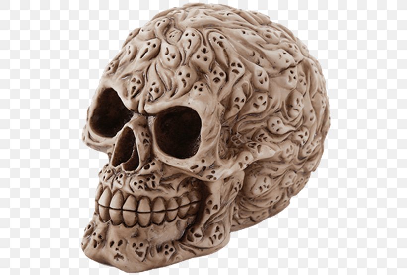 Human Skull Calavera Skeleton Bone, PNG, 555x555px, Skull, Bone, Calavera, Carving, Face Download Free