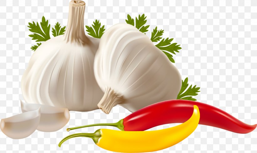 Vegetable Garlic Herb, PNG, 1500x894px, Vegetable, Diet Food, Drawing, Food, Garlic Download Free