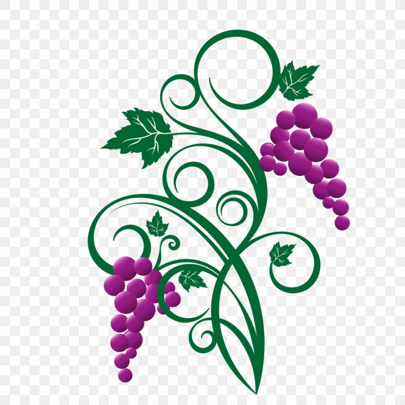 White Wine Grape Leaves Vector Graphics, PNG, 900x900px, Wine, Common Grape Vine, Drawing, Flower, Flowering Plant Download Free