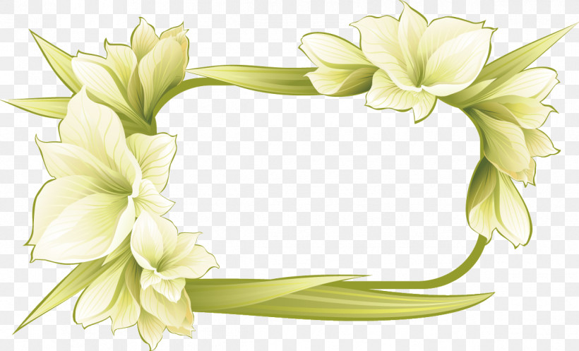 Flower Rectangular Frame Floral Rectangular Frame, PNG, 1196x725px, Flower Rectangular Frame, Cut Flowers, Floral Rectangular Frame, Flower, Hair Accessory Download Free