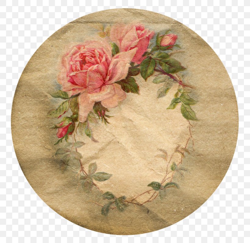 Garden Roses Paper Clip Art, PNG, 800x800px, Garden Roses, Cut Flowers, Flora, Floral Design, Floristry Download Free