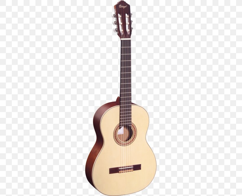 Steel-string Acoustic Guitar Acoustic-electric Guitar Musical Instruments, PNG, 243x665px, Watercolor, Cartoon, Flower, Frame, Heart Download Free