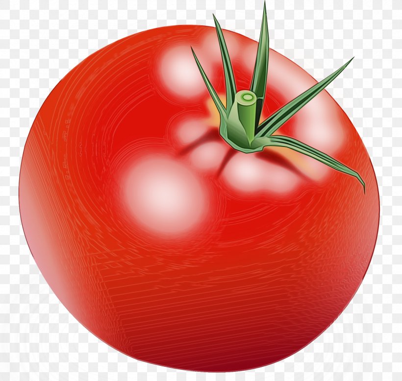 Tomato, PNG, 1694x1608px, Watercolor, Food, Fruit, Natural Foods, Nightshade Family Download Free