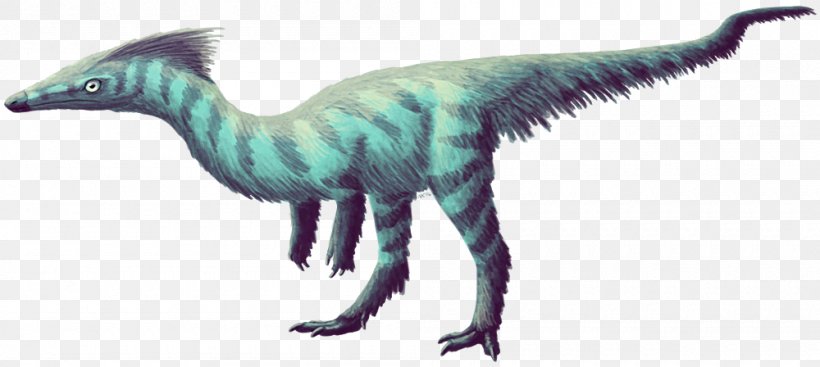 Velociraptor First Dinosaur Feathered Dinosaur, PNG, 1000x448px, Velociraptor, Animal, Animal Figure, Beak, Blog Download Free