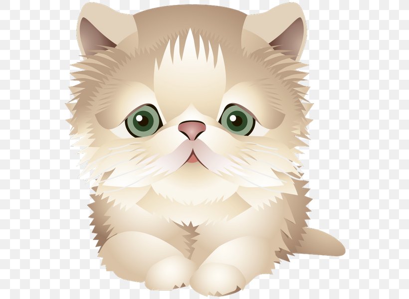 Whiskers Kitten Domestic Short-haired Cat Persian Cat Exotic Shorthair, PNG, 582x600px, Whiskers, Animal, Carnivoran, Cartoon, Cat Download Free