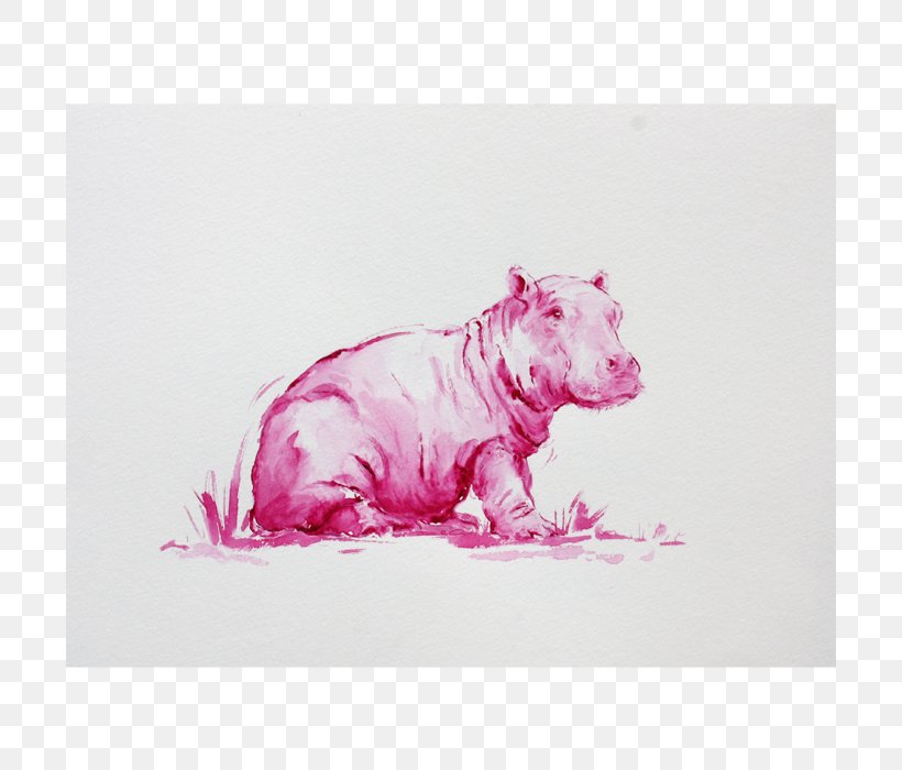 Canidae Pig Dog Pink M Drawing, PNG, 700x700px, Canidae, Carnivoran, Dog, Dog Like Mammal, Drawing Download Free