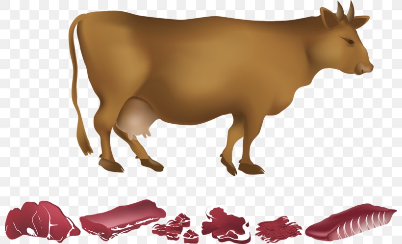 Dairy Cattle Beef, PNG, 800x497px, Cattle, Animal, Beef, Bull, Cattle Like Mammal Download Free