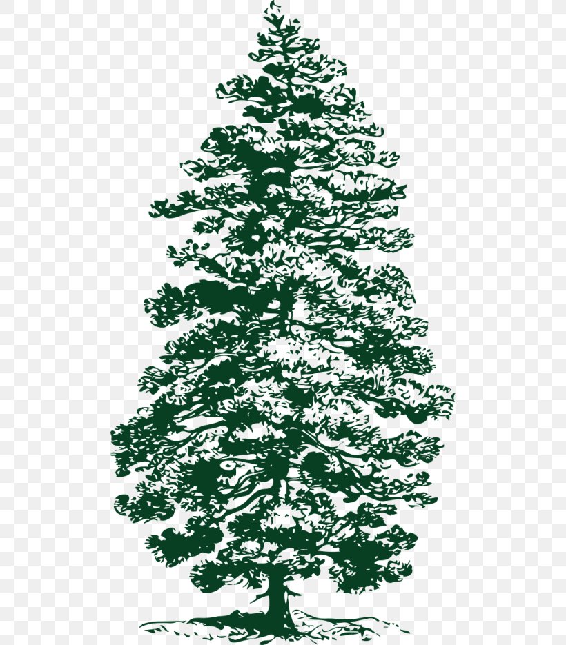 Lodgepole Pine Clip Art Fir Tree Eastern White Pine, PNG, 500x935px, Lodgepole Pine, Black And White, Branch, Christmas Decoration, Christmas Ornament Download Free