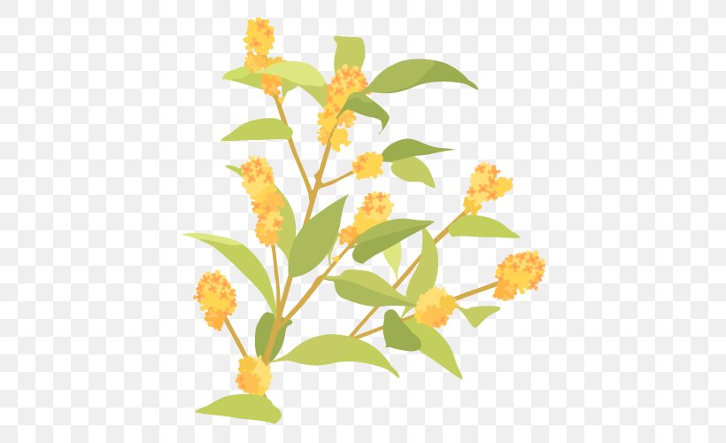 Kinmokusei Flower., PNG, 600x500px, Osmanthus Fragrans Var Aurantiacus, Blog, Branch, Cartoon, Color Download Free