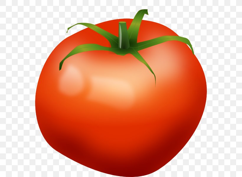 Tomato Vegetable Food Clip Art, PNG, 582x600px, Tomato, Apple, Bush Tomato, Diet Food, Food Download Free