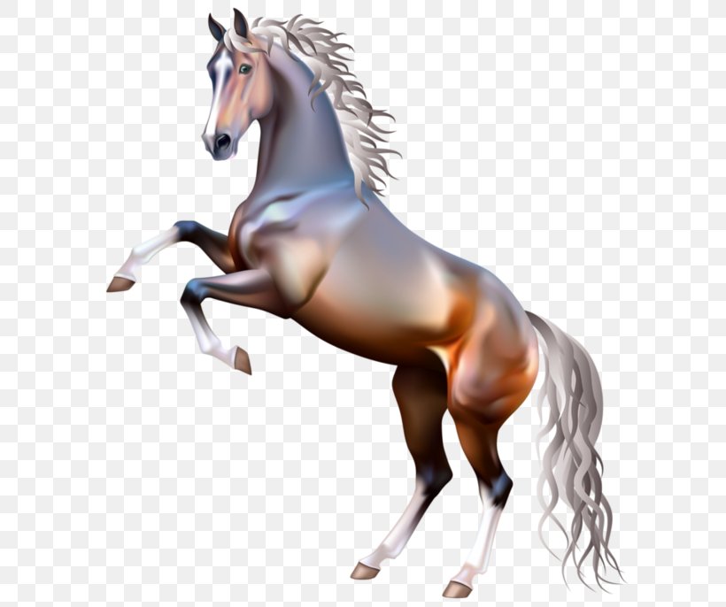 Arabian Horse American Paint Horse Mustang Rearing White, PNG, 600x686px, Arabian Horse, American Paint Horse, Animal Figure, Bay, Black Download Free